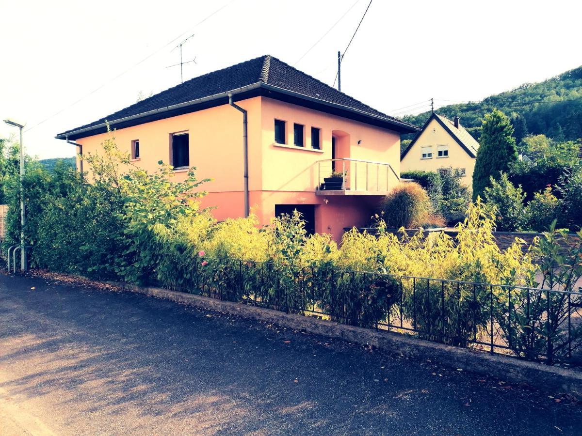 Appartamento Le Ptit Lou Kaysersberg-Vignoble Esterno foto
